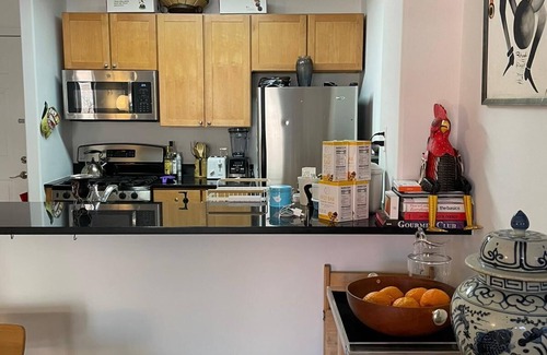 Williamsburg Apartment | Modern lg 2/2 Condo central Wburg : balcony, prkg, roof, gym. Sleeps 6