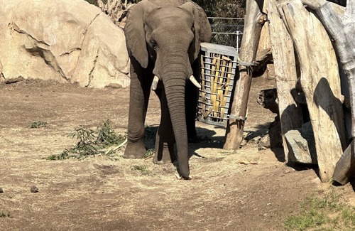 Otay Ranch House | Modern Luxury Home in the heart of San Diego/5 mins to Sesame Theme Water Park