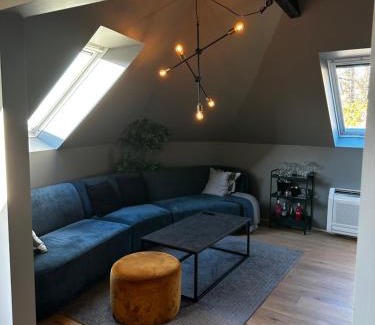 Sandviken Apartment | Modern Penthouse in Sandviken