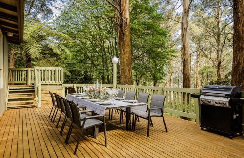 Sassafras House | Modern Seednest Treehouse, Forest & Mountain View