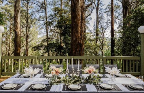 Sassafras House | Modern Seednest Treehouse, Forest & Mountain View