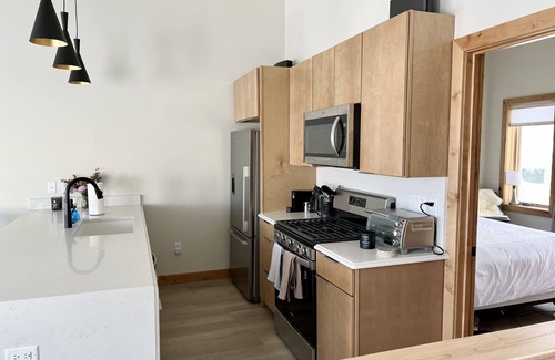 Crested Butte House | Modern townhome, minutes to ski resort, includes sauna and ping pong table