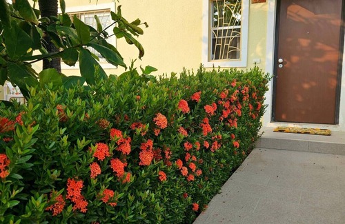 Coxen Hole Apartment | Modern Townhouse with pool - Comfort & Style