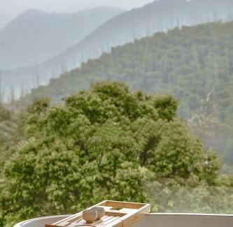 Moganshan Hotel | Moganshan Spring Mountain View B&B