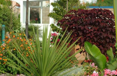 Pont Blondin Apartment | MOHAMMEDIA Appartement 1