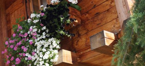 Toplitz Hotel | Mohrs Herzl Chalet