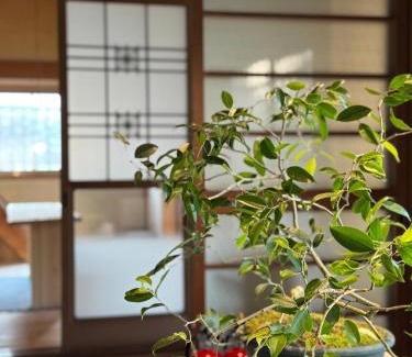Ishioka Apartment | mokumoku 山 ishioka