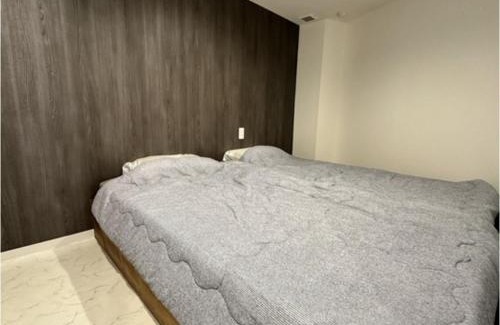 Otaru Hotel | Monarch Hotel - Vacation STAY 43022v