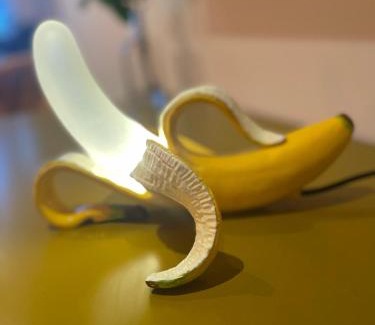 Schiedam House | Monkey Tree Stay