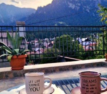 Busteni Villa | Mont'Arte - Private Art retreat Villa