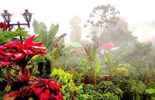 Sasaima Other | Montelungo Cabañas Glamping