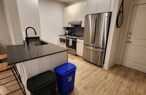 Montrose Apartment | Montrose Spring - Stylish 1 BR in Houston