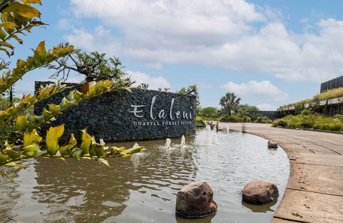Salt Rock Apartment | Moody Modern Coastal Forest Condo