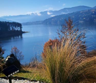 Hangu House | Moon Lake Bicaz - Aurora Garden