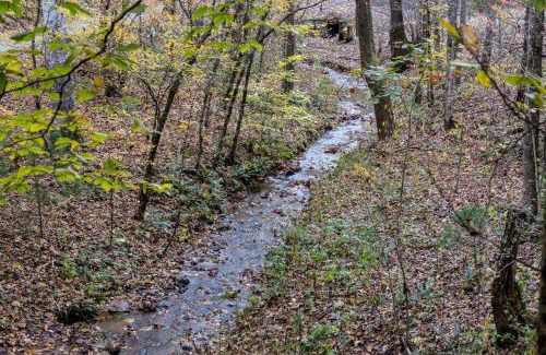 Sylva House | Moose Creek Lodge