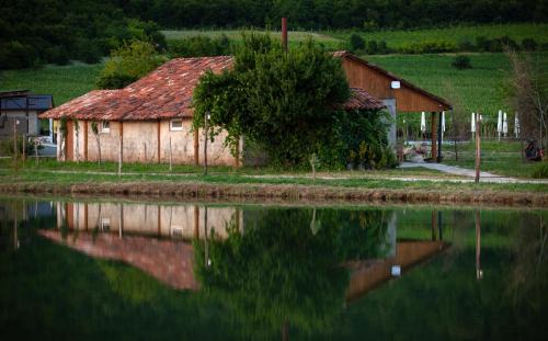 Telavi Resort | Moretoni Lake Resort