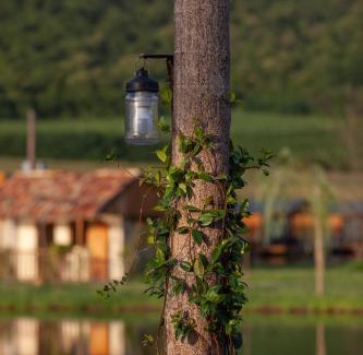 Telavi Resort | Moretoni Lake Resort