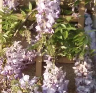 Mortain-Bocage House | Mortain-Bocage - 2-Bed Wisteria Cottage Sleeps 4