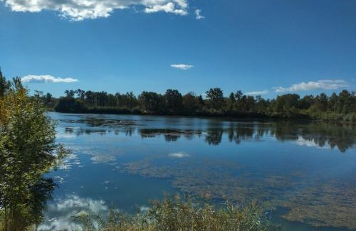 Halbenrain House | Mosti`s Häuschen am See