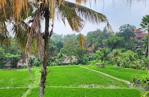 Pengosekan Villa | Motama Villa