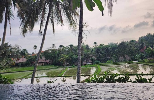 Pengosekan Villa | Motama Villa