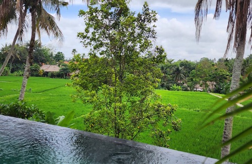 Pengosekan Villa | Motama Villa