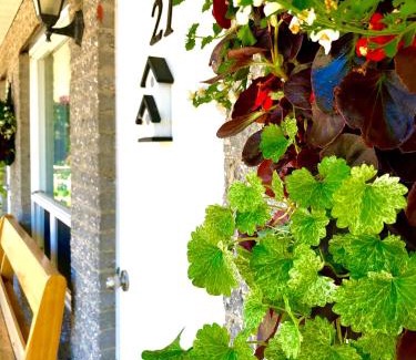 Tadoussac Hotel | Motel Chantmartin