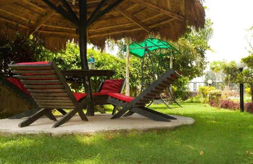 Sauraha Resort | Motherland Resort