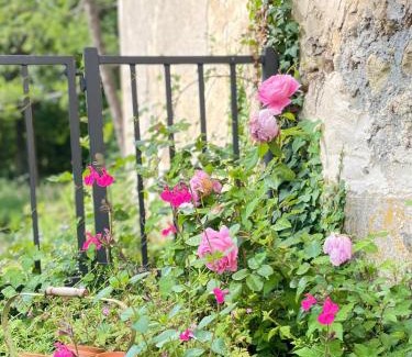 Dorceau Villa | Moulin Dorceau - 15 couchages - voir notre site