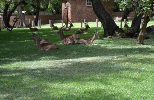 Hartbeespoort Resort | Mount Amanzi