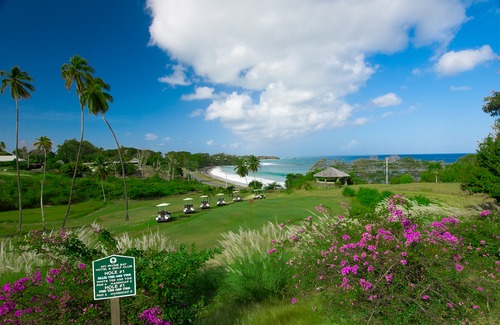Black Rock Hotel | Mount Irvine Bay Resort