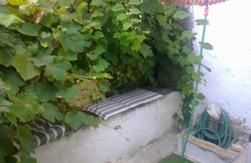 Panagia Apartment | Mountain boat