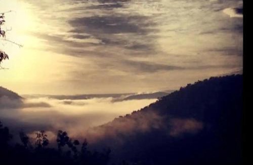 Wynberg House | Mountain Canadian Log Home