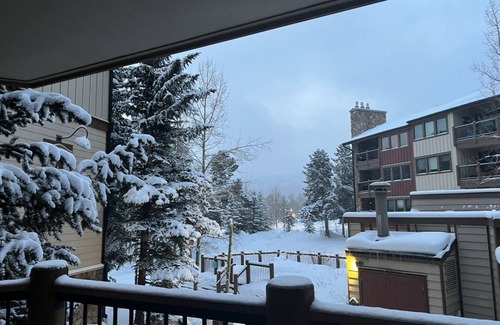 Historic District Condo | Mountain Chic Condo - Ski to Condo