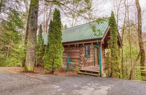 Gatlinburg Apartment | Mountain Eden, Hot Tub, Resort Pool, WIFI, 685 FREE tickets each paid day!