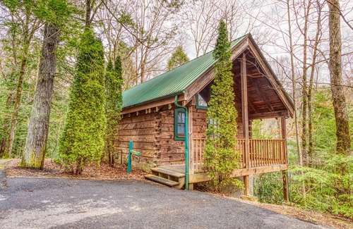 Gatlinburg Apartment | Mountain Eden, Hot Tub, Resort Pool, WIFI, 685 FREE tickets each paid day!