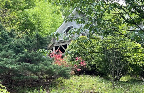Hemphill Heights House | Mountain home with amazing views, privacy, and pond on the property