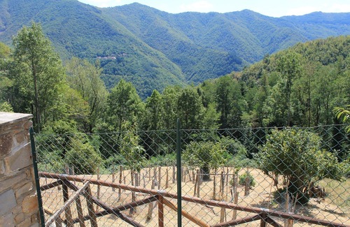 Granaglione Apartment | Mountain house with garden near Porretta Spa