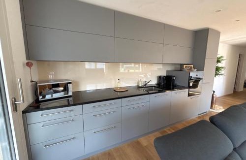 Schattdorf Apartment | Mountain View Apartment