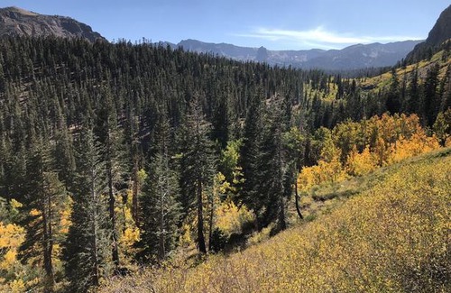 Mammoth Lakes House | Mountainback #117, Loft