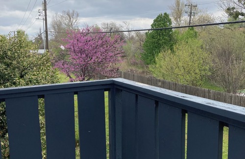 Central Oklahoma City Condo | Movie Matinee Hideaway