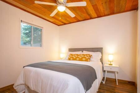 Kings Beach House | Mt Airy Cottage Walk to Beach