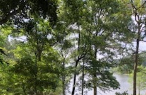 Turtle Beach Cabin | Mt. Richard - Cabin #2 - Toledo Bend - Mid Lake