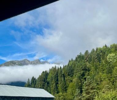 Racha-Lechkhumi and Lower Svaneti Apartment | Mtis Racha