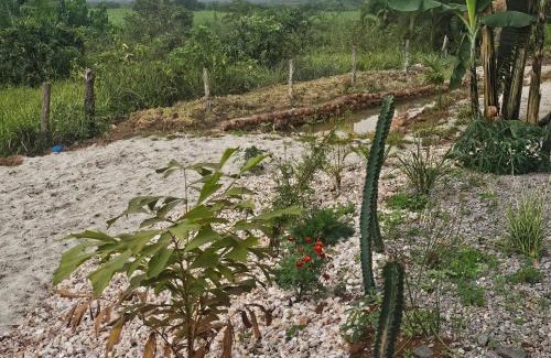 Entebbe Apartment | Muguet by Ibiscot