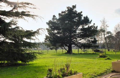 Herbignac Apartment | Mumbasa - Gîtes du Fozo - Herbignac - La Roche Bernard