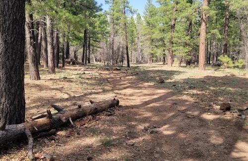Munds Park House | Munds Park Cabin sleeps 6 in tall cool pines central heat and ac , Great hiking trails near by