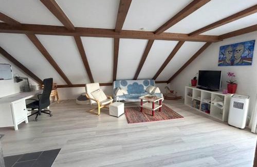 Bubenheim Apartment | Must love dogs