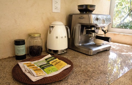 Atlatlahucan Villa | Casita Perla Heated Pool Volcano View Hot Tub King Bed Grill EV Organic Fruit