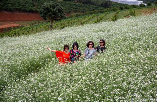 Da Lat House | My Anh Guest House